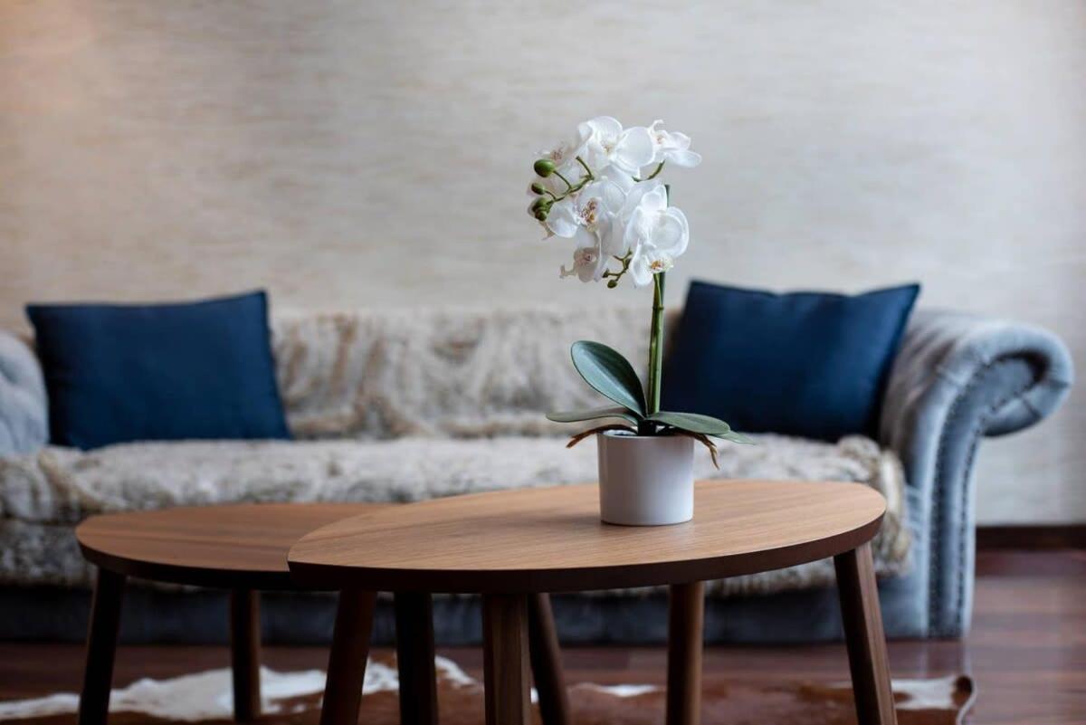 Central Luxy Design Apartment Βουδαπέστη Εξωτερικό φωτογραφία